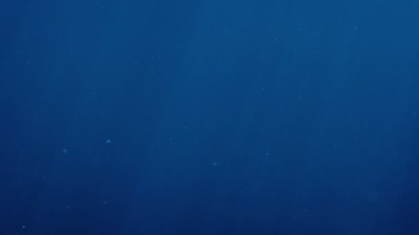 Água Escura Com Partículas Rodopiando Tiro Subaquático — Vídeo de Stock