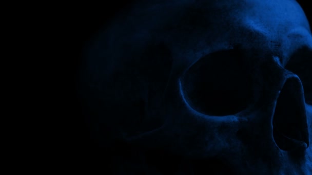 黑暗中的骷髅 — 图库视频影像
