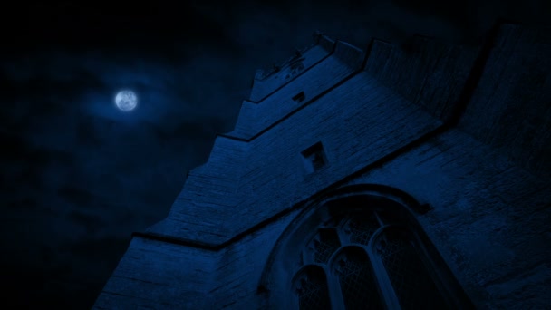 Großer Mittelalterlicher Turm Mondlicht — Stockvideo