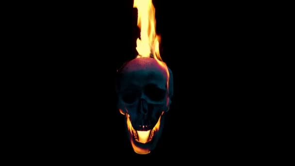 Fire Engulfs Skull Dark Versions — Stock Video