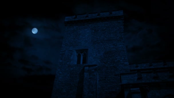 Relâmpagos Atrás Castelo Tarde Noite — Vídeo de Stock