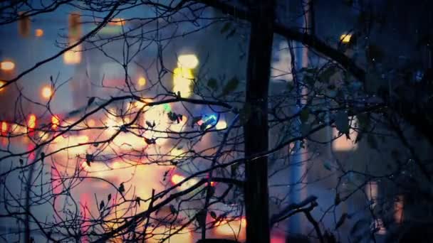 Árbol Por Camino Ocupado Noche Lluviosa — Vídeo de stock