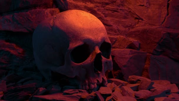 火光中岩石上的骷髅 — 图库视频影像