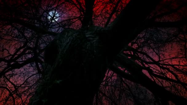 Árbol Oscuro Con Pesadilla Cielo Luna Escena Fantasía — Vídeo de stock