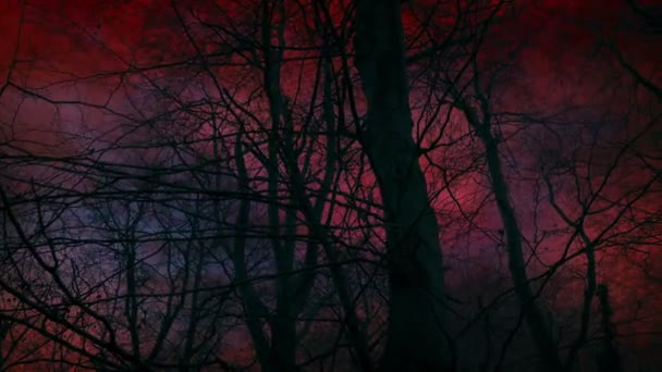 赤い空と雷のパラノーマルな風景 — ストック動画