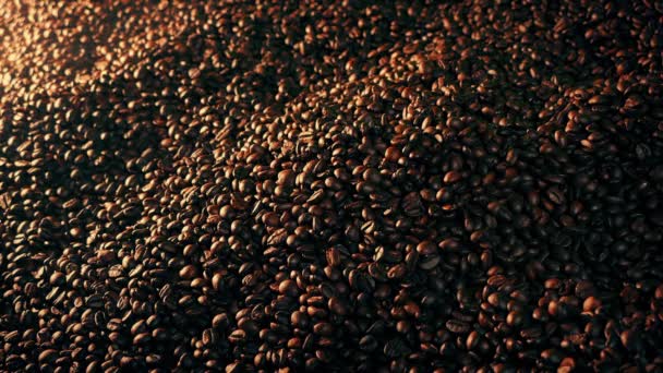 Lassú Pörkölés Kávébab Párában — Stock videók