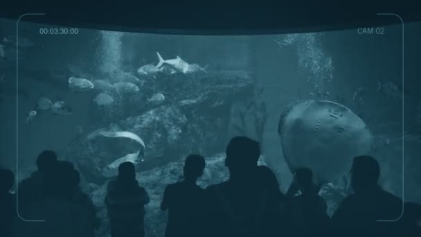Cctv View People Aquarium — Stock Video