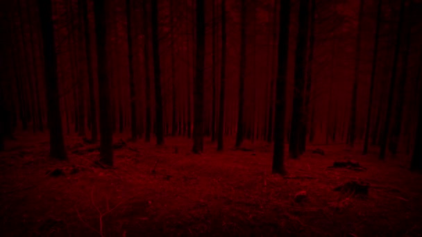 Τρομακτικό Κόκκινο Pov Κινείται Κάτω Κλίση Στο Σκοτεινό Δάσος — Αρχείο Βίντεο