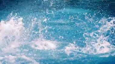 Yunuslar Açık Hava Gösterisinde Zıplıyor