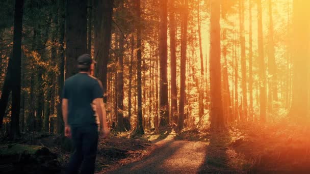 Man Wandelend Het Bos Bij Zonsondergang — Stockvideo