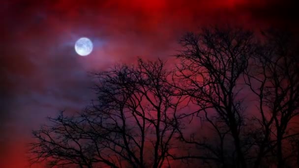 Cielo Fantasía Sobre Árboles Con Relámpago Luna — Vídeo de stock