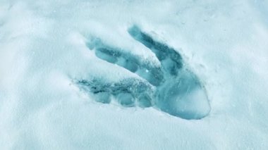 Karda Dinozor Ayak İzi, Nesli Tükenme Konsepti