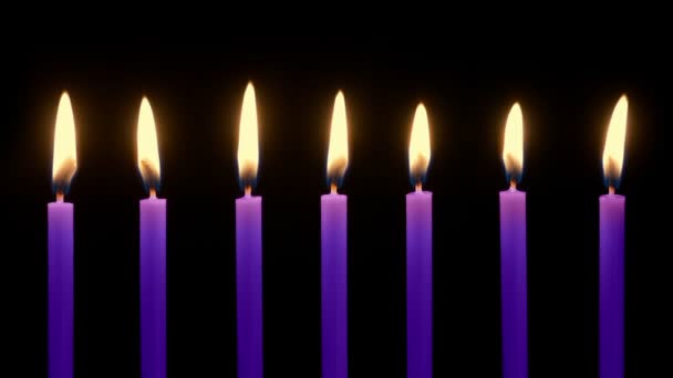Purple Birthday Candles Row Blown Out — Stock Video
