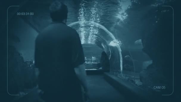 Cctv Aquarium Túnel Submarino Con Hombre Caminando Pasado — Vídeos de Stock