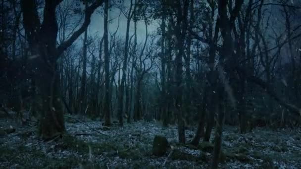 Kasvetli Kış Ormanlarında Kar Düşerken Çekim — Stok video