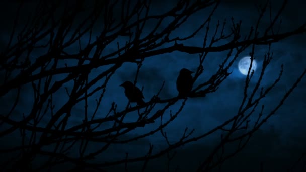 Ptaki Odlatują Gałęzi Jako Uderzenia Pioruna Odległość — Wideo stockowe