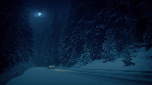 吹雪の中の田舎道を通る車 — ストック動画