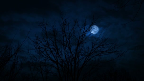 Månen Och Blixten Ovanför Träden Skrämmande Scen — Stockvideo