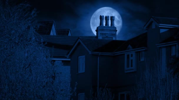 Straszna Pełnia Księżyca Nad Kominem Nocy — Wideo stockowe