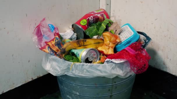 Çöp Tenekesinin Etrafında Vızıldayan Sinekler — Stok video