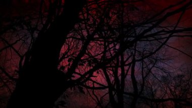 Karanlık Ağaçlar ve Yıldırımlı Korkunç Kızıl Gökyüzü