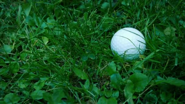 Verlorener Golfball Gras — Stockvideo