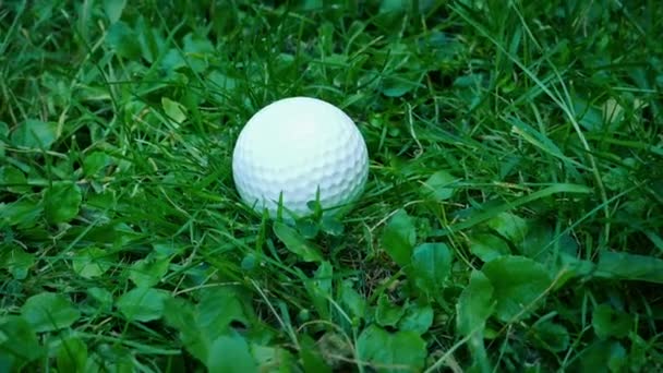 Golf Ball Ląduje Trudnym Poza Pole — Wideo stockowe