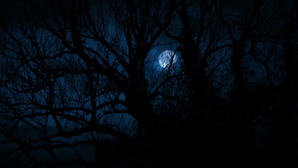 Gruselige Alte Bäume Mit Blitz Und Mond Hintergrund — Stockvideo