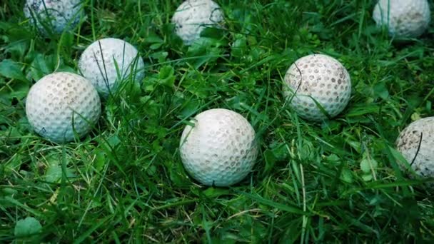 在粗野的草地上有很多丢失的高尔夫球球 — 图库视频影像
