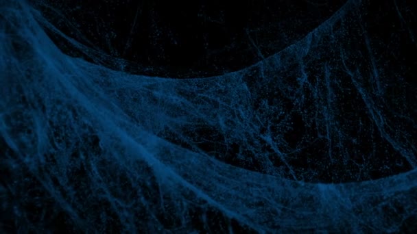 Cobwebs Κινούνται Στο Σκοτάδι Closeup — Αρχείο Βίντεο