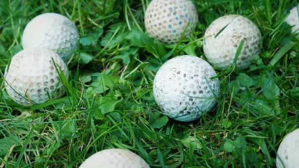 Golf Ball Lands Rough Med Många Andra Försvunna Bollar — Stockvideo
