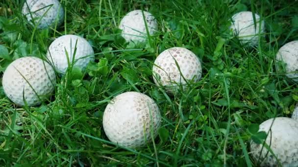 高尔夫球手把球从粗糙的地方捡起来 — 图库视频影像