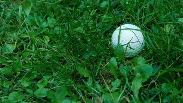 Golfista Podnosi Piłkę Trawy — Wideo stockowe