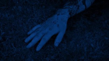Bloody Arm On The Grass At Night