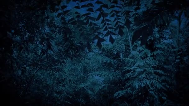 Moving Dense Jungle Canopy Dark — Vídeos de Stock