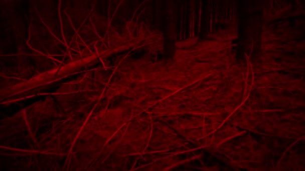 Pov Evil Creature Moving Woods — стоковое видео
