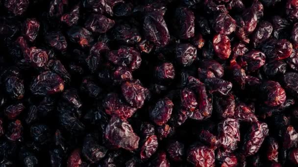 Cranberry Health Food Antioxidant Closeup — Stockvideo