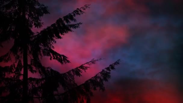 Σκοτεινό Δέντρο Ενάντια Στον Θυελλώδη Αποκαλυπτικό Ουρανό — Αρχείο Βίντεο