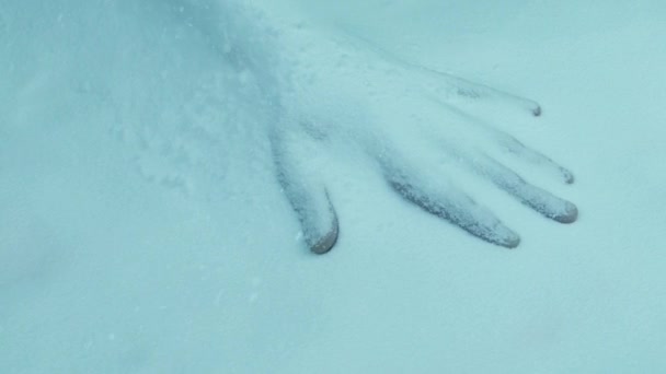 雪の細部で死んだ人 — ストック動画
