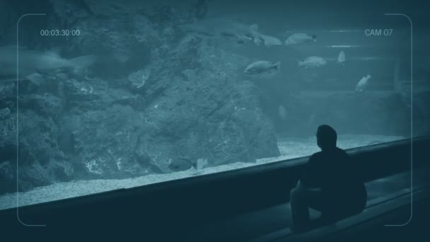 Cctv Man Zit Bij Aquarium Tank — Stockvideo
