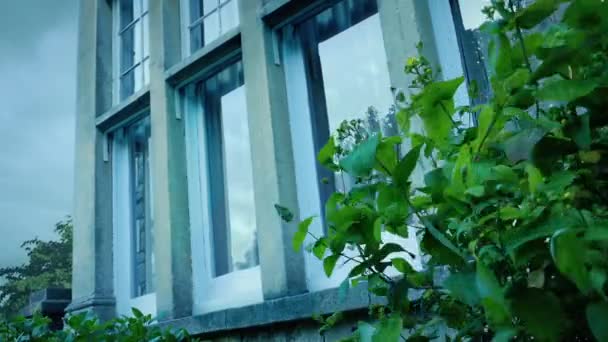 Fenêtres Maison Avec Des Buissons Déplaçant Jour Tempête — Video
