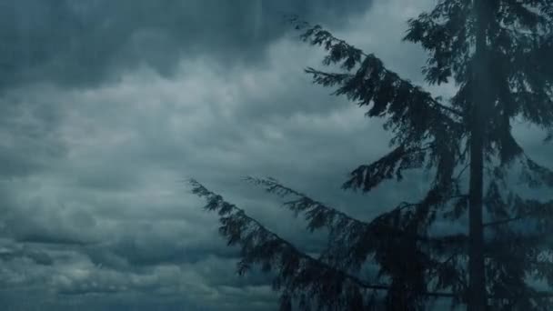 Κεραυνοί Χτυπούν Στα Σύννεφα Πάνω Από Δέντρο Στην Καταιγίδα — Αρχείο Βίντεο