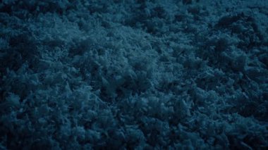 Karanlıkta yerdeki odun kesikleri