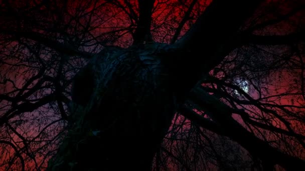 Темне Дерево Небом Хеллоуїна — стокове відео