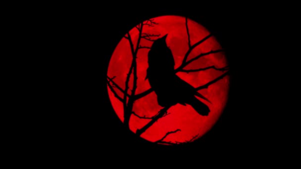 Fåglar Flyger Grenar Framför Röd Måne — Stockvideo