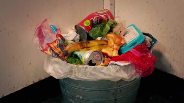 Voa Torno Lata Lixo Bagunçado — Vídeo de Stock