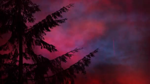 Apokalipsa Scena Drzewa Kwaśnym Deszczu Burzliwym Niebem — Wideo stockowe