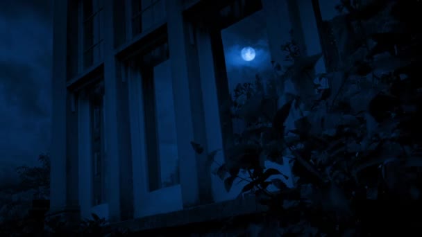 Lua Reflete Janelas Casa Noite Ventosa — Vídeo de Stock