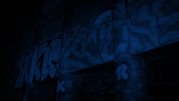 Flytte Forbi Graffiti Søyler Natten – stockvideo