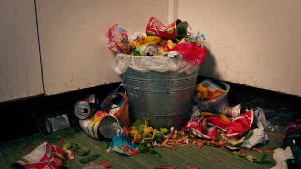 Grande Bagunça Torno Lata Lixo Cozinha — Vídeo de Stock